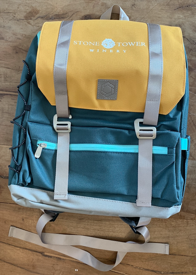 Blue Cooler Backpack 1
